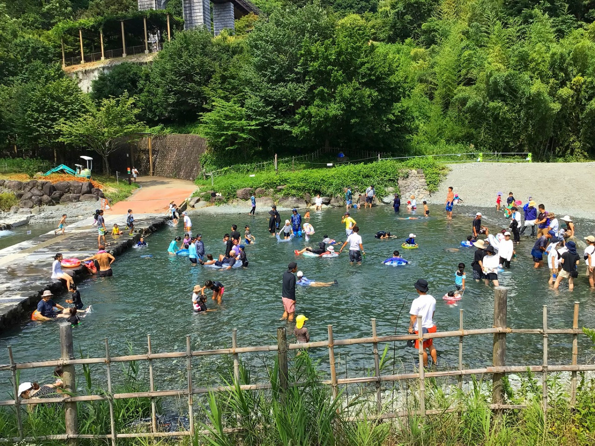 秦野 戸川 公園 川遊び